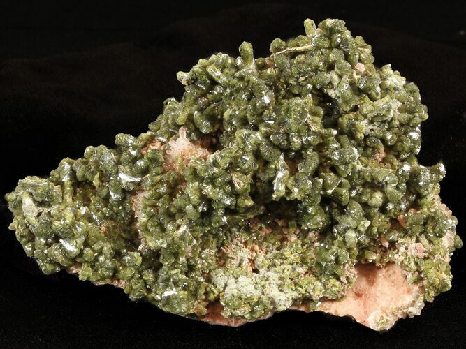 Lustrous, Epidote Crystal Cluster - Morocco #40881